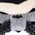 Giocattolo in peluche nero e grigio con logo Batman, abbinato a punte in plastica nera per pet.