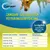 Canosan® Kautabletten