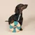 Chien noir à poil court posant une patte sur un jouet anneau en tissu bleu et beige, fond uni clair. Jouet pour chien visible en premier plan. Chien noir à poil court posant une patte sur un jouet anneau en tissu bleu et beige, fond uni clair. Jouet pour chien visible en premier plan.