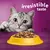 Cat looking at a bowl of dry food with the words 'irresistible taste' shown above, highlighting product appeal.