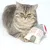 Juguete Modern Living Colmar para gatos