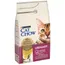 PURINA Cat Chow Adult Special Care Urinary Tract Health pour chat - 3 kg