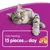 Οδηγία διατροφής στα αγγλικά: Daily feeding: 15 pieces per day. Εικόνα γάτας και λιχουδιών για γάτες.