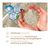 Biokat's Diamond Care Attracting & Care