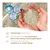 Biokat's Diamond Care Attracting & Care