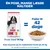 Hill's Science Plan Adult 1-6 Medium med kylling