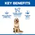 Hill's Science Plan Perfect Weight Adult 1+ Large with Chicken