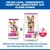 Hill's Science Plan Adult 1-6 Small & Mini mit Huhn