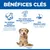 Hill's Science Plan Mature Adult 7+ Senior Vitality Small & Mini au poulet Hill's Science Plan Mature Adult 7+ Senior Vitality Small & Mini au poulet