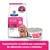 Hill's Prescription Diet Gastrointestinal Biome Mini com frango para cães