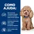 Hill's Prescription Diet Gastrointestinal Biome Mini com frango para cães