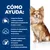Hill´s t/d Prescription Diet Mini pienso para perros