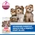 Hill's Science Plan Perfect Digestion Puppy Small & Mini
