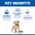 Hill’s Science Plan Puppy Large Breed Perfect Digestion