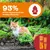 Zesty Paws Cat Urinary Care Paste - 75g Zesty Paws Cat Urinary Care Paste - 75g