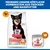 Hill's Science Plan Perfect Digestion Adult 1+ Small & Mini mit Huhn & braunem Reis