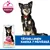 Hill's Science Plan Perfect Digestion Adult 1+ Small & Mini kana & ruskea riisi Hill's Science Plan Perfect Digestion Adult 1+ Small & Mini kana & ruskea riisi