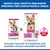 Hill's Science Plan Adult 1-6 Small & Mini con Agnello & Riso