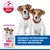 Hill's Science Plan Puppy <1 Small & Mini con pollo Hill's Science Plan Puppy <1 Small & Mini con pollo