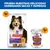 Hill's Science Plan Adult Dog Sensitive Stomach & Skin