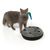 Canadian Cat Company Katzenspielzeug Sputnik