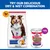 Hill's Science Plan Mature Adult 7+