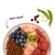 Teller mit Trockenfutter, Blaubeeren, rohem Hühnerfleisch, rohem Rindfleisch, Erbsenschote und Cranberries. Text: nom nom! Teller mit Trockenfutter, Blaubeeren, rohem Hühnerfleisch, rohem Rindfleisch, Erbsenschote und Cranberries. Text: nom nom!