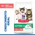 Hill's Science Plan Kitten <1 com salmão