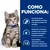 Hill's Prescription Diet i/d Digestive Care Kitten frango em molho