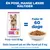 Hill's Science Plan Adult 1-6 Small & Mini med kylling