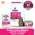 Hill's Prescription Diet Gastrointestinal Biome per gatti, varianti in alimento secco e umido. Clinicamente provato: feci sane in 24 ore.