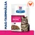 Hill's Prescription Diet Gastrointestinal Biome, Mag-tarmhälsa, med kyckling, våtfoder för katt, ActiveBiome+ Digestion synligt på förpackningen.