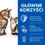Hill's Science Plan Kitten & Mother delikatny mus z kurczakiem i indykiem