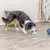 Jeu de stratégie Trixie Dog Activity Buzzer