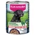 Eukanuba Senior Reich an Lamm mit Kartoffeln