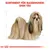 Sortiment für Rassehunde: Shih Tzu. Illustration eines Shih Tzu mit detaillierter Fellzeichnung und Masslinien.