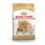 Royal Canin Shiba Inu Adult - 4 kg Royal Canin Shiba Inu Adult - 4 kg