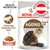 Royal Canin Ageing 12+ in Soße, gesunde Gelenke EPA/DHA, Health Nutrition, hergestellt in Österreich.
