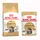 Maine Coon Adult + Breed Maine Coon, 12 x 85 g