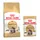 Maine Coon Adult (4 kg) + sachets Maine Coon