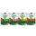 Set %: 24 x 415 g Mix (6xPollo, 6xTacchino, 6xSalmone, 6xAgnello)