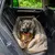 Dog lying in a padded car seat on the back seat, seat belt visible. Product application for safe transport in the car.
