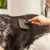 WAHL® Spazzola cardatrice WAHL® Spazzola cardatrice