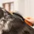 WAHL® Beidseitige Fellpflegebürste WAHL® Beidseitige Fellpflegebürste
