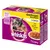 Whiskas Junior 2–12 Monate, Geflügel Auswahl in Gelee, 12×100 g. Prikaz mačića i tanjura hrane. Tekst na njemačkom: Gesundes Wachstum, Huhn, Ente, Geflügel, Pute.