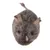 Grey plush mouse toy with brown fabric ears, nose and tail, shown on a white background. No visible brand or text.