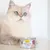 Sparpaket GimCat ShinyCat Filet in Jelly 12 x 70 g - Thunfisch & Hühnchen Mix Sparpaket GimCat ShinyCat Filet in Jelly 12 x 70 g - Thunfisch & Hühnchen Mix