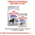 ROYAL CANIN STERILISED MAXI a ALL SIZES, suché a vlhké krmivo pro psy, -14 % kalorií, 85 g. Výživový program pro péči o psy. Dokonalá kombinace suchých a vlhkých receptur.