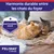 Harmonie durable entre les chats du foyer. Scientifiquement prouvé. FELIWAY Friends.