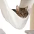 Braun getigerte Katze liegt in einer weissen Hängematte, die an einem Kratzbaum befestigt ist.